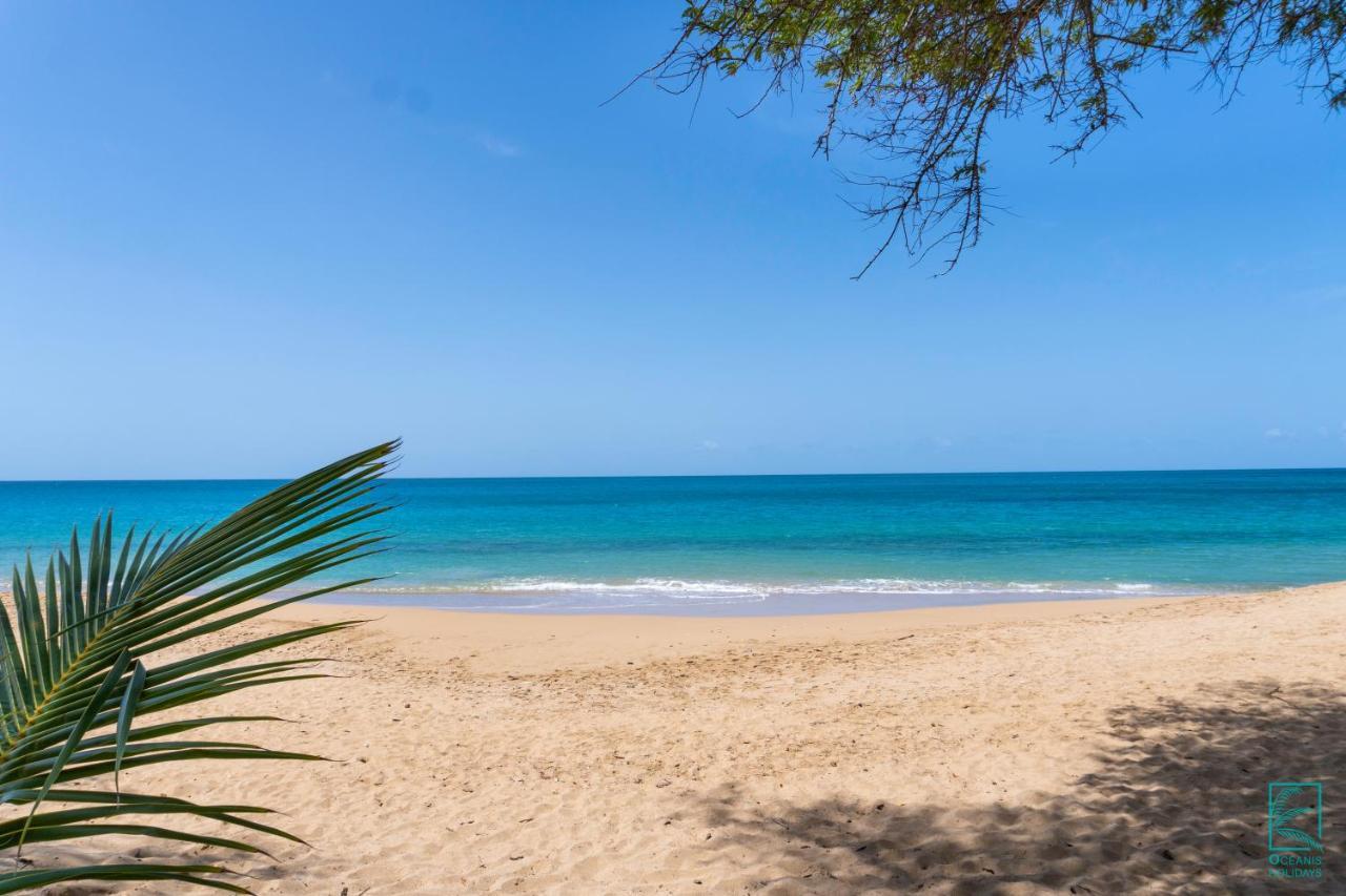 德赛Magnifique Et Spacieux T2 Proche De La Plage - La Kiss House公寓 外观 照片